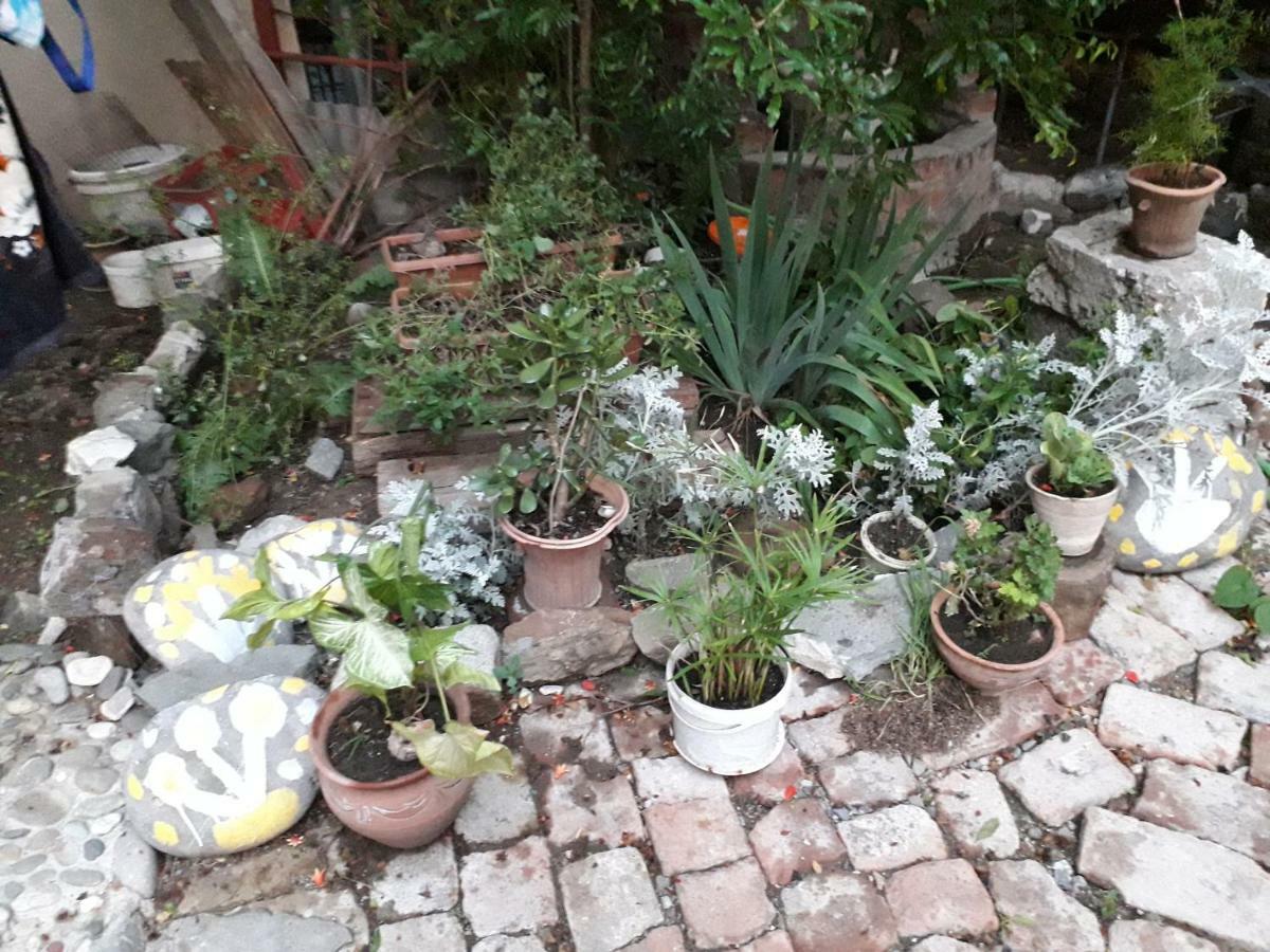 Appartamento Cozy House I Tbilisi Esterno foto